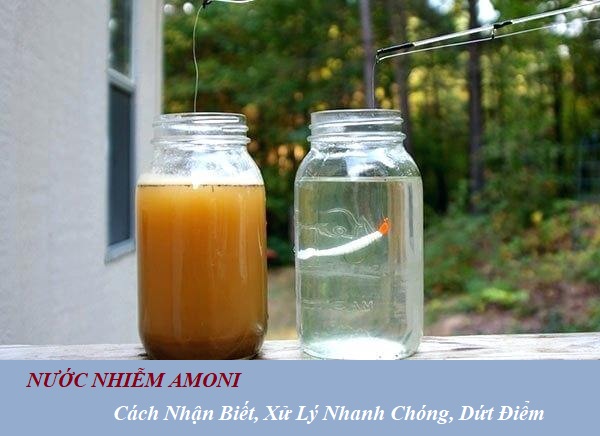 XỬ LÝ NƯỚC BỊ NHIỄM AMONI